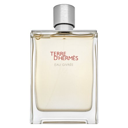 Hermès Terre d’Hermès Eau Givrée - Refillable Eau de Parfum da uomo 175 ml