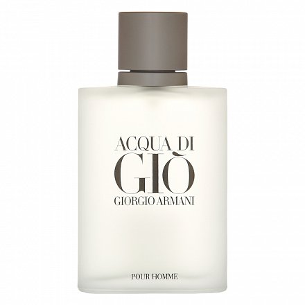Armani (Giorgio Armani) Acqua di Gio Pour Homme EDT M 100 ml Tester