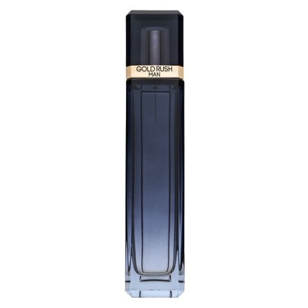 Paris Hilton Gold Rush Man Eau de Toilette da uomo 100 ml