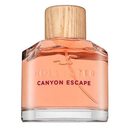 Hollister Canyon Escape Eau de Parfum da donna 100 ml