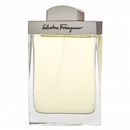 Salvatore Ferragamo Pour Homme Eau de Toilette da uomo 100 ml