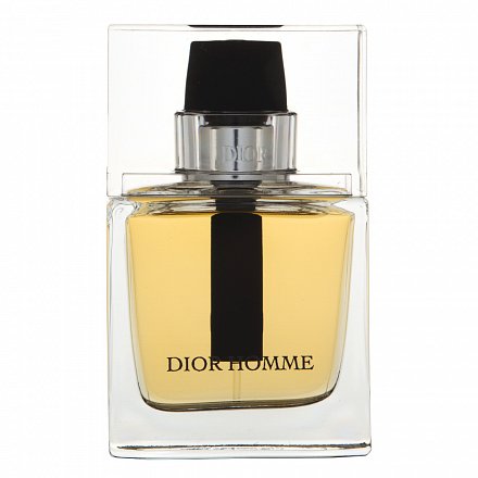 Dior (Christian Dior) Dior Homme 2011 Eau de Toilette da uomo 50 ml