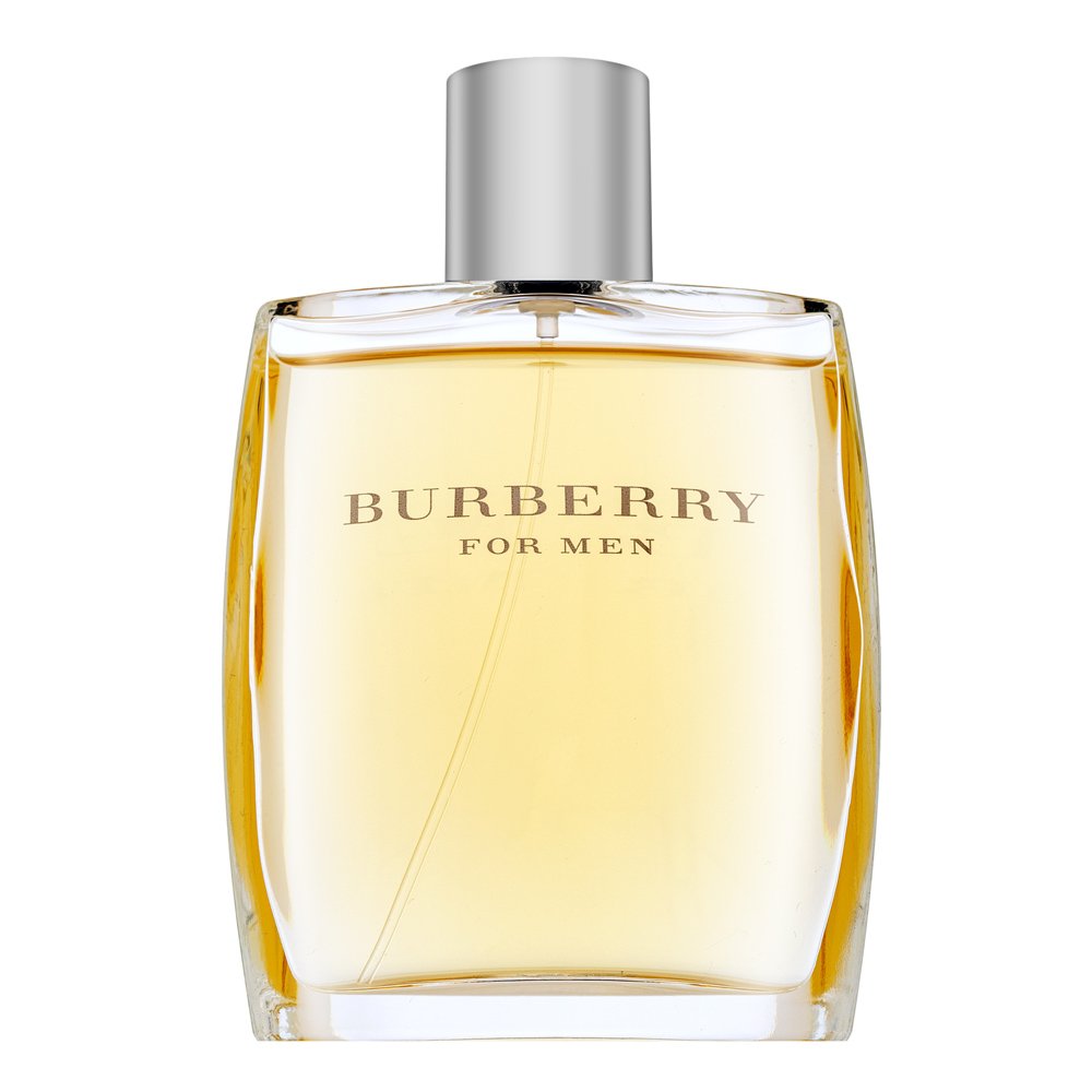Burberry For Men Eau de Toilette da uomo 100 ml