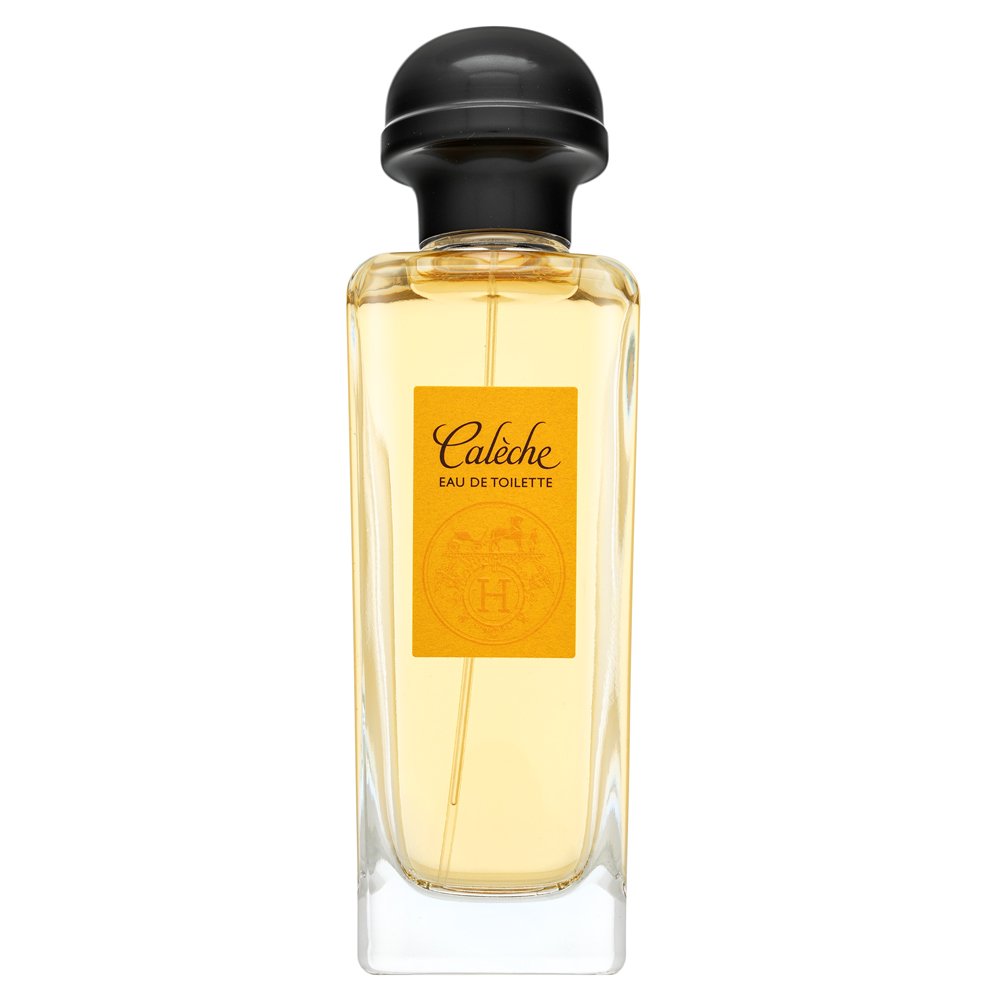 Hermès Caleche Eau de Toilette da donna 100 ml