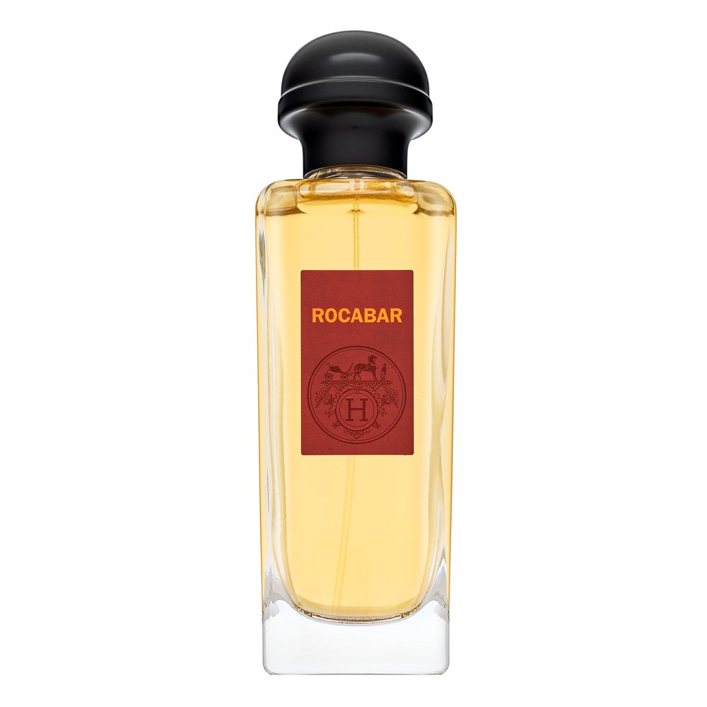 Hermès Rocabar Eau de Toilette da uomo 100 ml