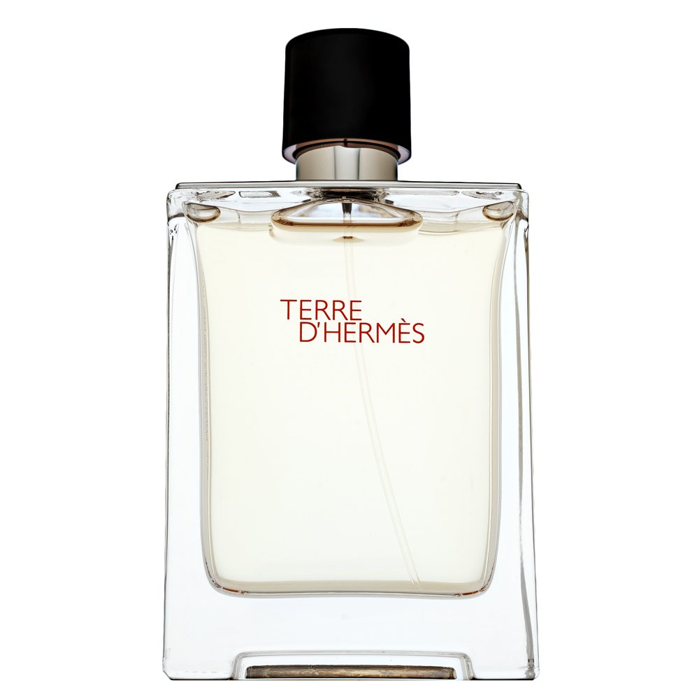 Hermès Terre D'Hermes Eau de Toilette da uomo 100 ml