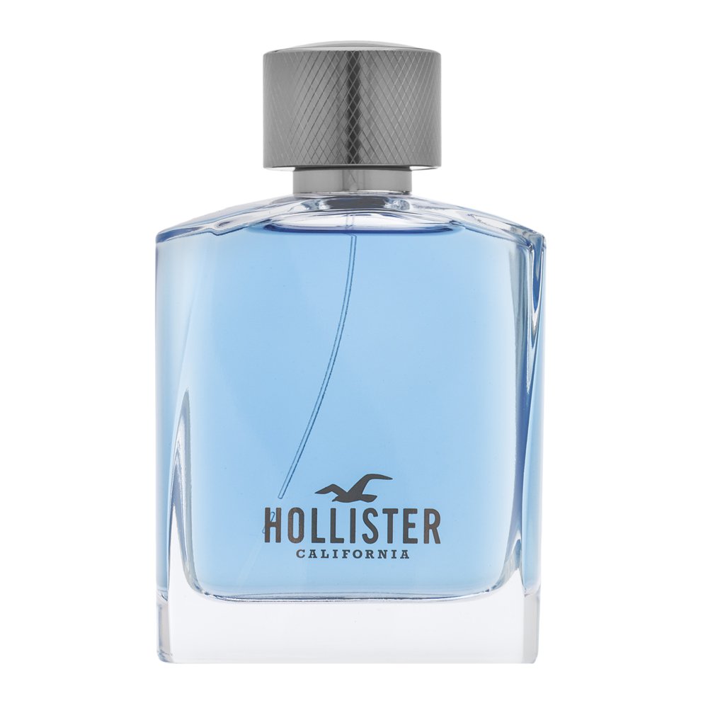 Hollister Wave For Him Eau de Toilette da uomo 100 ml
