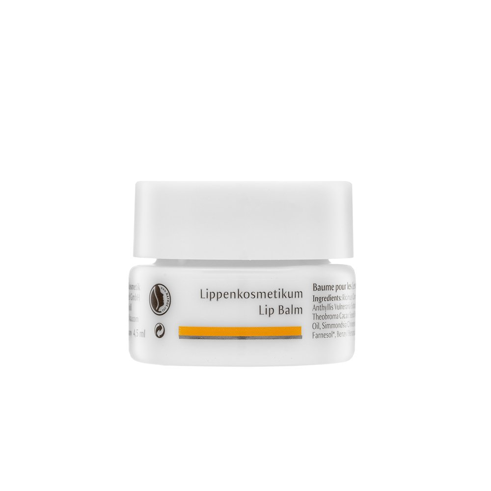 Dr. Hauschka balsamo per labbra nutriente Lip Balm 4,5 ml