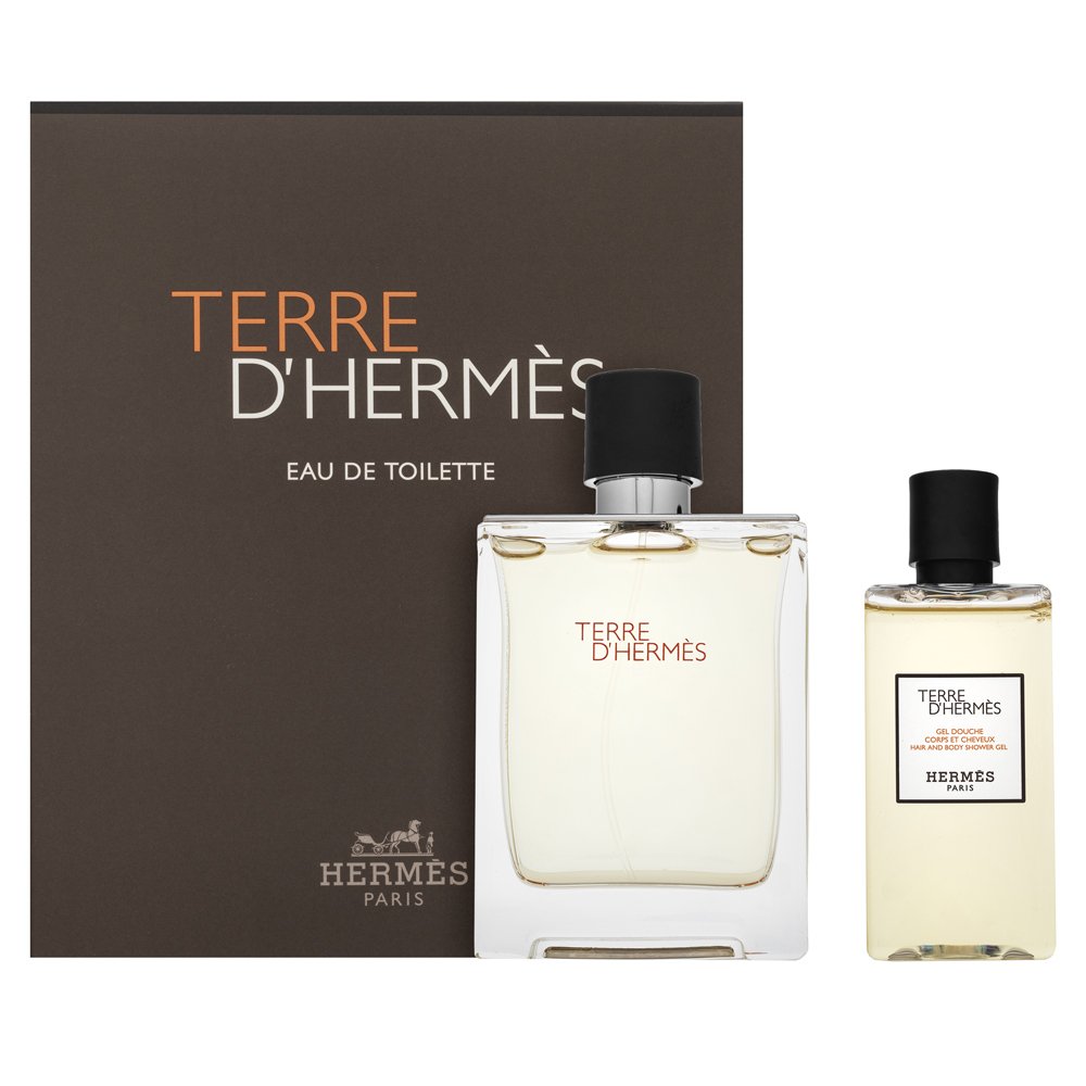 Hermès Terre D'Hermes confezione regalo da uomo Set I. 100 ml