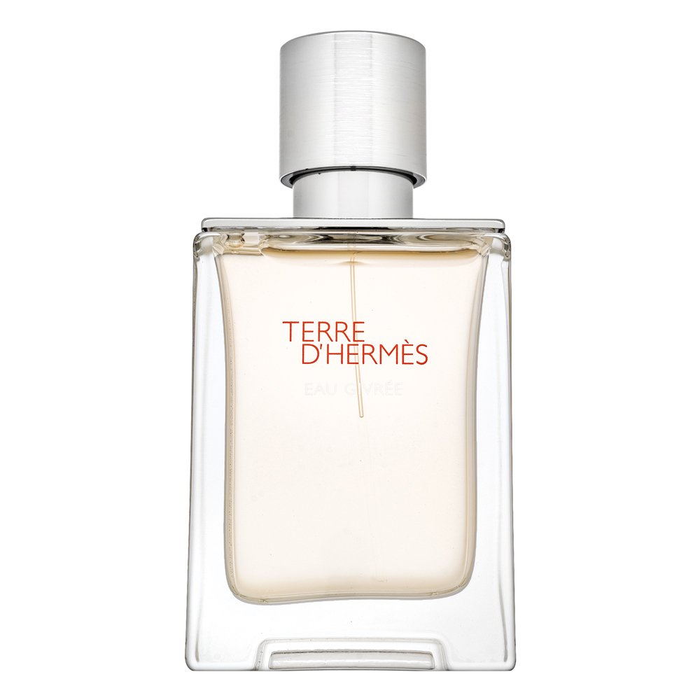 Hermès Terre d’Hermès Eau Givrée - Refillable Eau de Parfum da uomo 50 ml