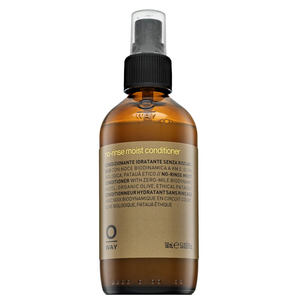 OWAY No-rinse Moist Conditioner balsamo senza risciacquo per l'idratazione dei capelli 160 ml