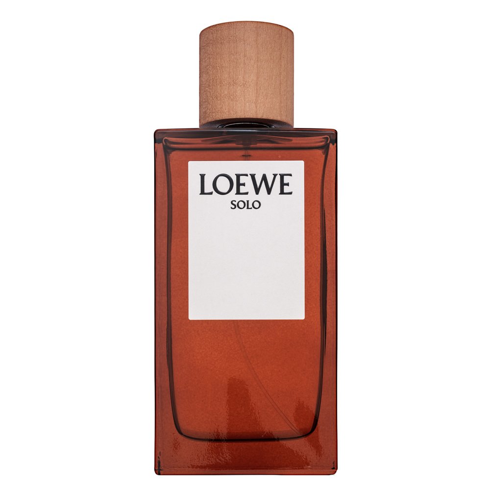 Loewe Solo Loewe Pour Homme Eau de Toilette da uomo 150 ml