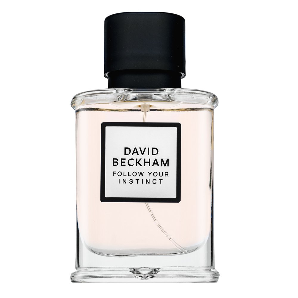 David Beckham Follow Your Instinct Eau de Parfum da uomo 50 ml