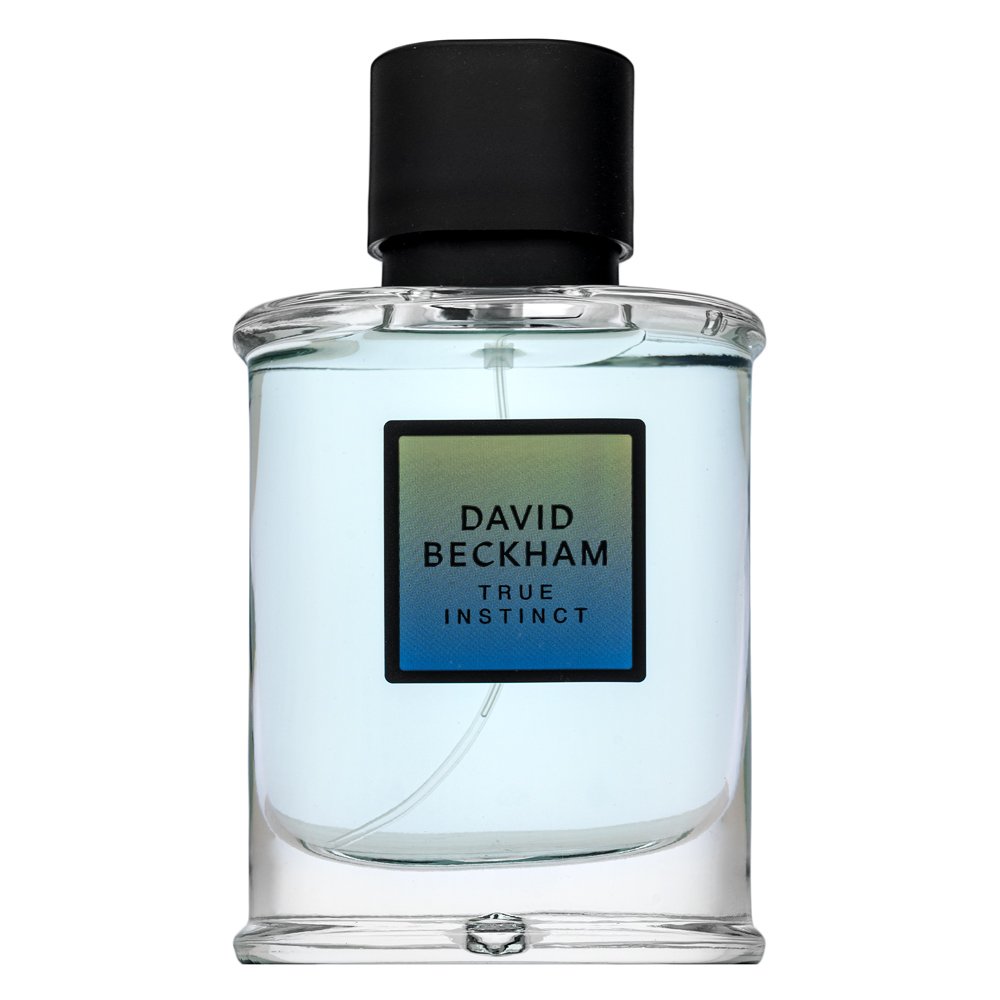 David Beckham True Instinct Eau de Parfum da uomo 75 ml
