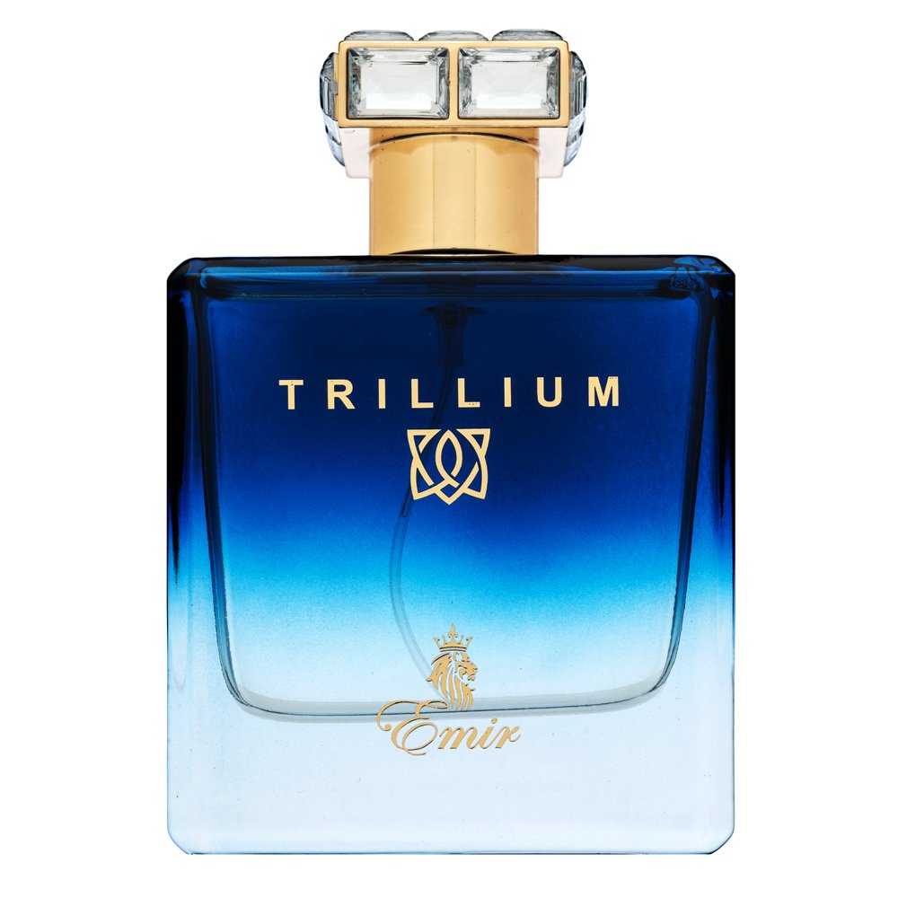 Emir Trillium Eau de Parfum da uomo 100 ml