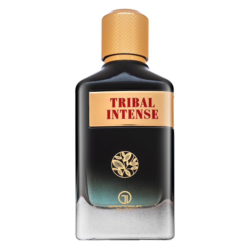 Grandeur Tribal Intense Eau de Parfum da uomo 100 ml