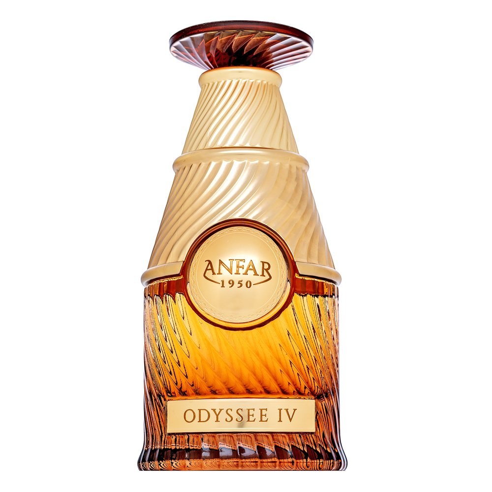 Anfar Odyssee IV profumo da uomo 100 ml