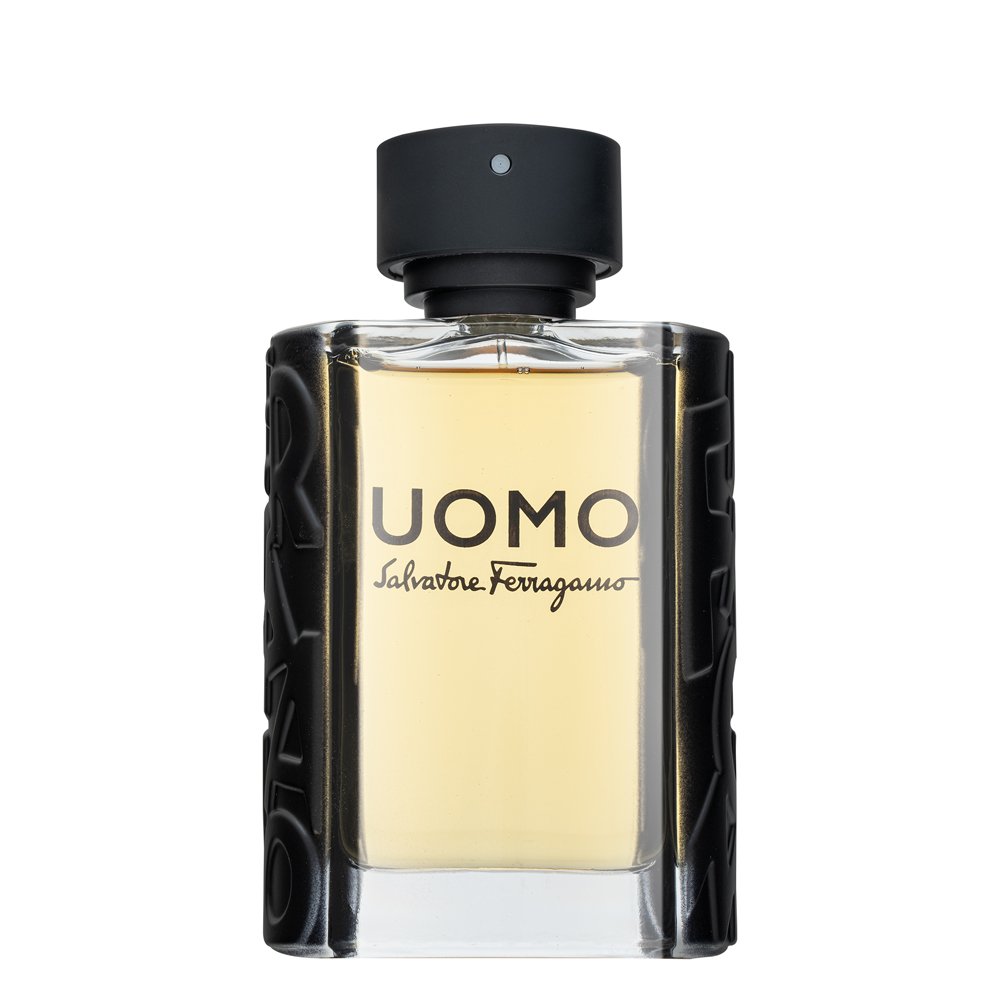Salvatore Ferragamo Uomo Eau de Toilette da uomo 100 ml
