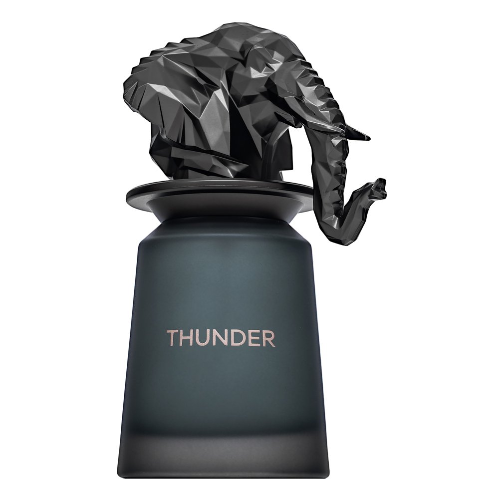 French Avenue Thunder Eau de Parfum da uomo 100 ml