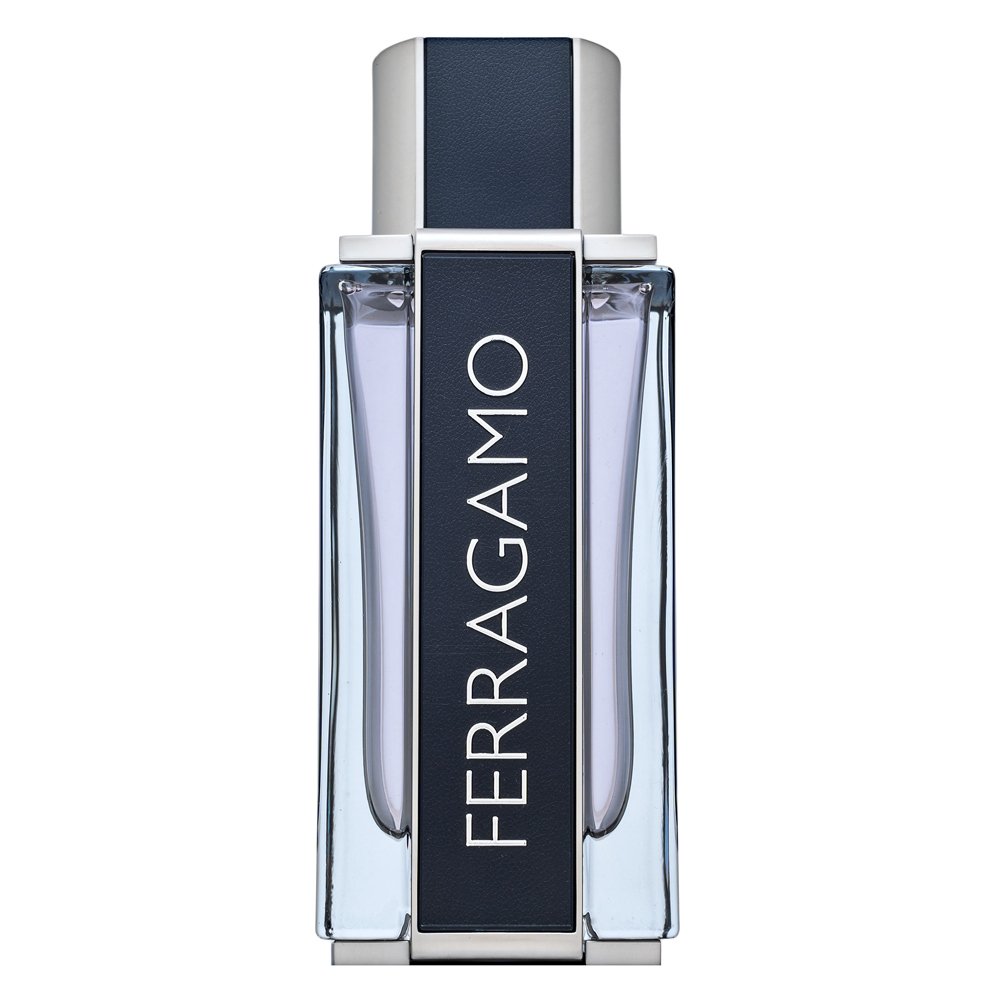 Salvatore Ferragamo Ferragamo Eau de Toilette da uomo 100 ml