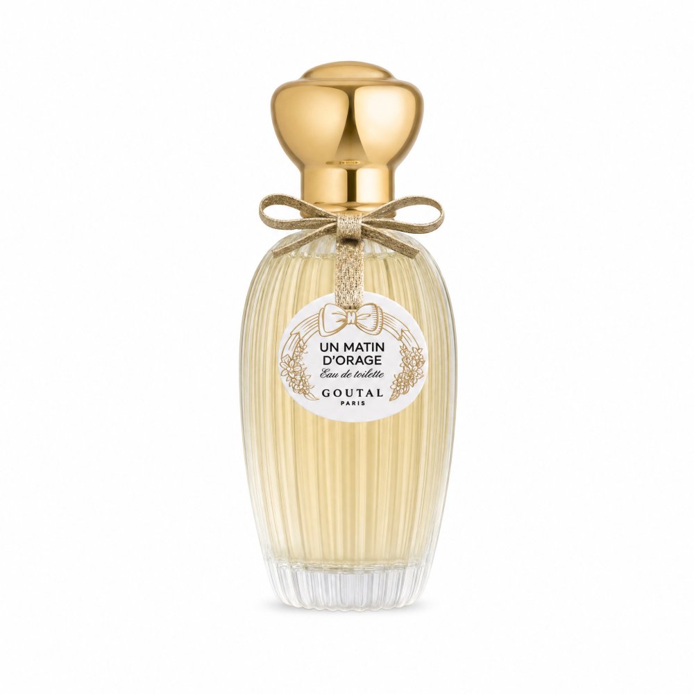 Annick Goutal Un Matin D'Orage Eau de Toilette da donna 100 ml