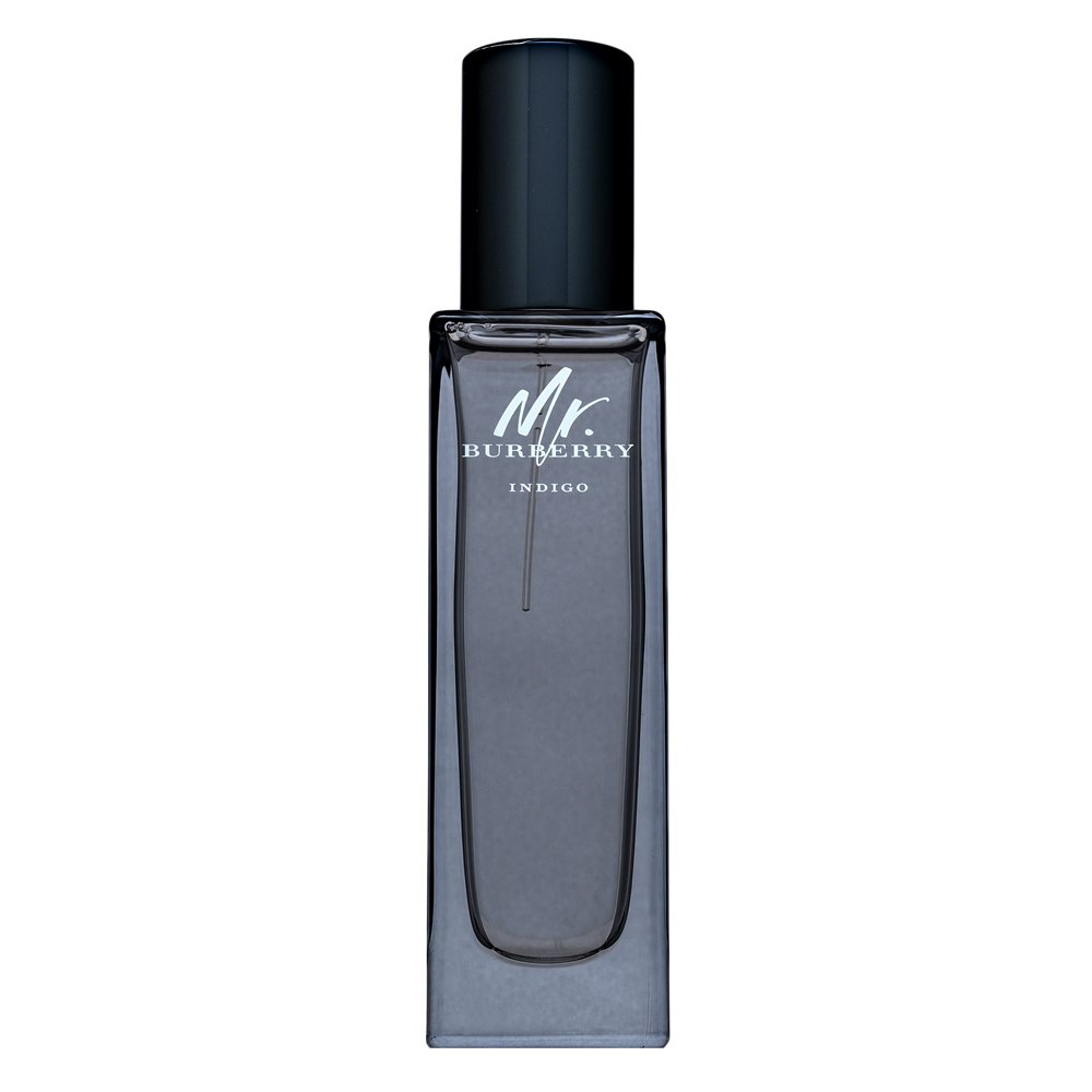 Burberry Mr. Burberry Indigo Eau de Toilette da uomo 30 ml